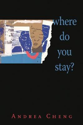 Book cover for Where Do You Stay?