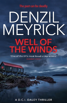 Book cover for Well of the Winds