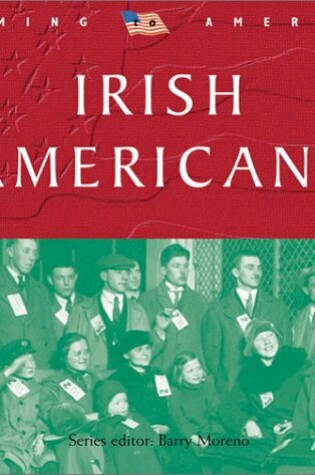 Cover of Irish Americans