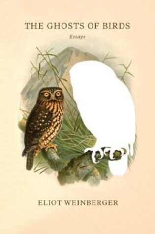 Cover of The Ghosts of Birds