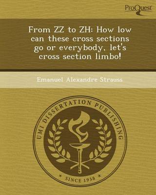 Cover of From ZZ to Zh: How Low Can These Cross Sections Go or Everybody