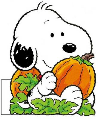 Cover of Baby Snoopy's Pumpkin