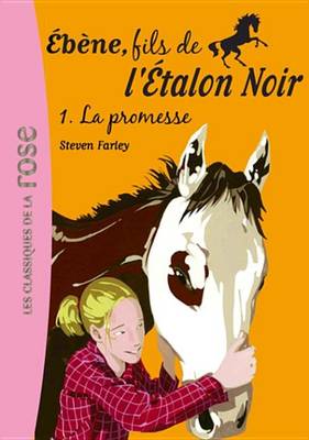 Book cover for Ebene, Fils de L'Etalon Noir 01 - La Promesse