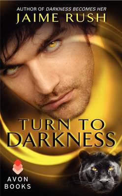 Book cover for Turn to Darkness