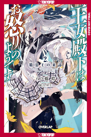 Cover of Her Royal Highness Seems to Be Angry, Volume 2 (Light Novel)