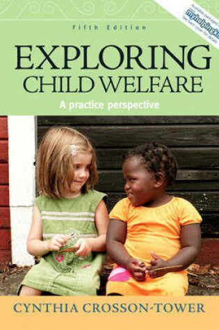 Cover of Exploring Child Welfare