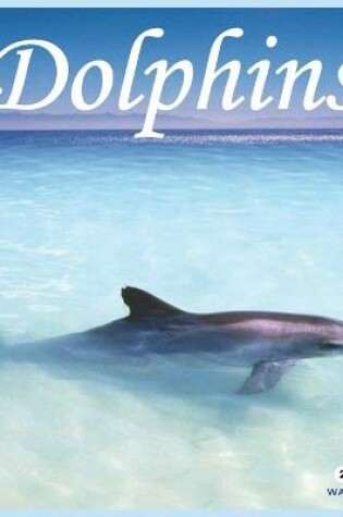 Cover of Dolphins 2021 Wall Calendar