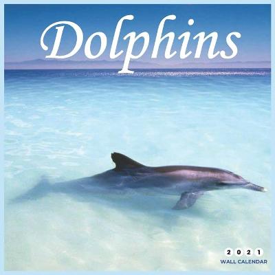 Book cover for Dolphins 2021 Wall Calendar