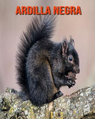 Book cover for Ardilla negra