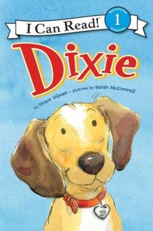 Cover of Dixie