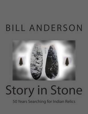 Book cover for Story in Stone
