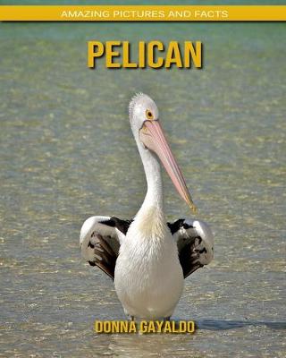 Book cover for Pelican