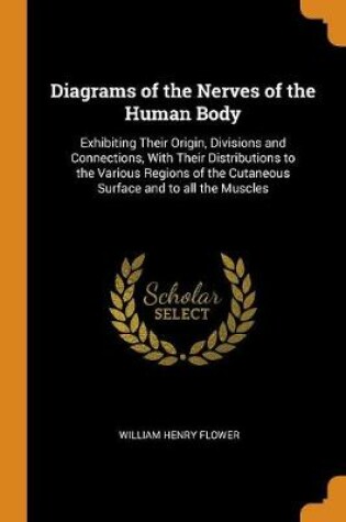 Cover of Diagrams of the Nerves of the Human Body