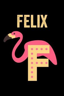 Book cover for Felix