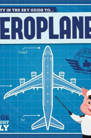 Cover of Aeroplanes