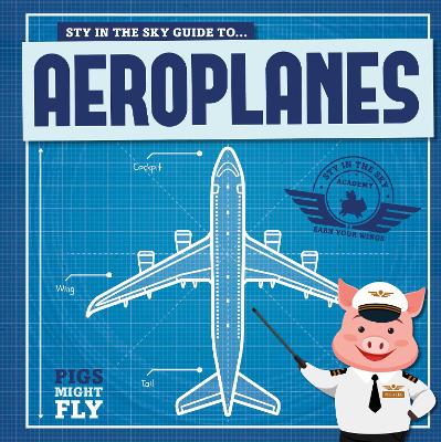 Book cover for Aeroplanes