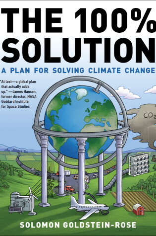 Cover of The 100% Solution