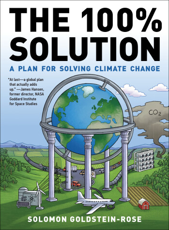 Cover of The 100% Solution