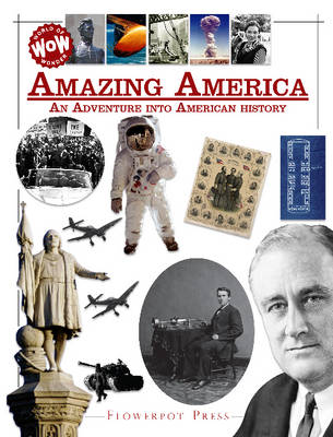 Book cover for Amazing America