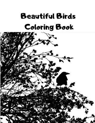 Book cover for Beautiful Birds Coloring Book