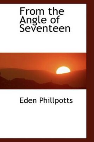 Cover of From the Angle of Seventeen