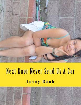 Book cover for Next Door Never Send Us a Car