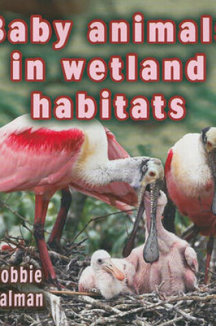 Cover of Baby Animals in Wetland Habitats