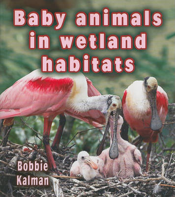 Book cover for Baby Animals in Wetland Habitats