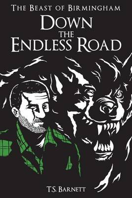 Cover of Down the Endless Road