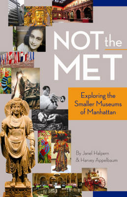 Book cover for Not the Met