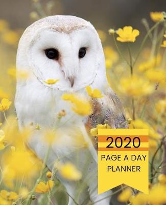 Book cover for 2020 Page A Day Planner