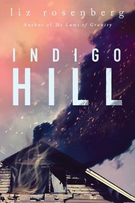 Book cover for Indigo Hill