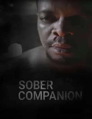 Book cover for Sober Companion