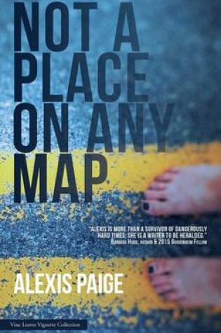 Cover of Not a Place on Any Map