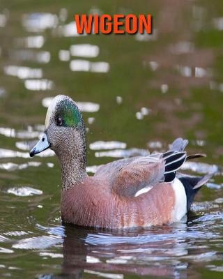 Book cover for Wigeon