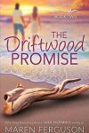 Book cover for The Driftwood Promise