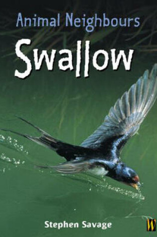 Cover of Animal Neighbours: Swallow