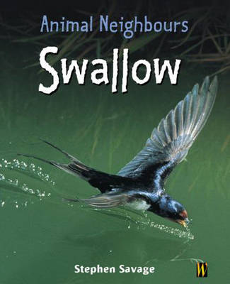 Cover of Animal Neighbours: Swallow