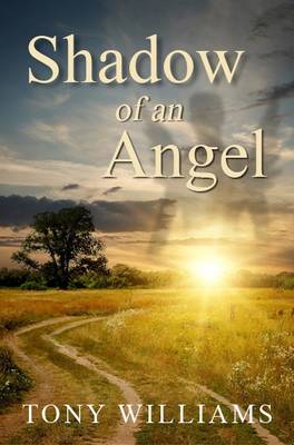 Book cover for Shadow of an Angel