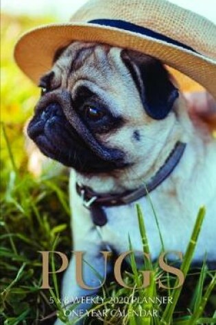 Cover of Pugs 5 x 8 Weekly 2020 Planner