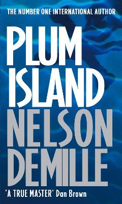 Book cover for Plum Island