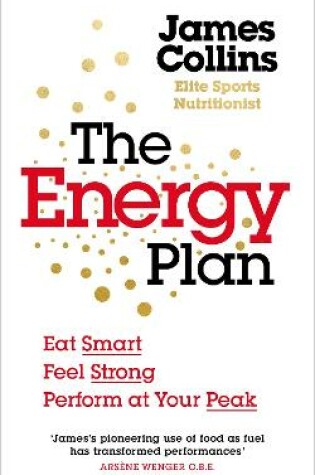 Cover of The Energy Plan
