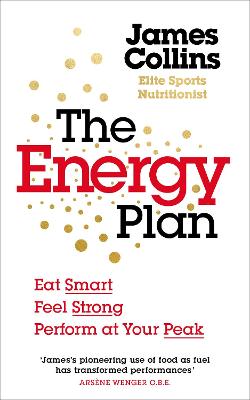 Book cover for The Energy Plan