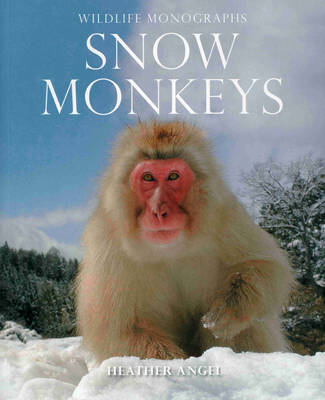 Book cover for Snow Monkeys