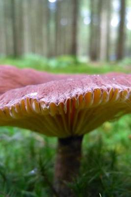 Book cover for Lamellar Brown Mushroom