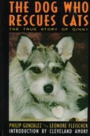 Cover of The Dog Who Rescues Cats