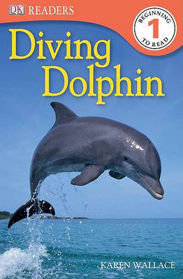 Book cover for Diving Dolphin