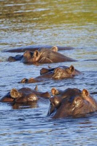 Cover of Hippos in the River African Animal Journal