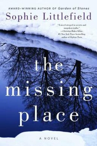 Cover of The Missing Place