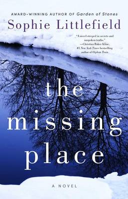 Book cover for The Missing Place